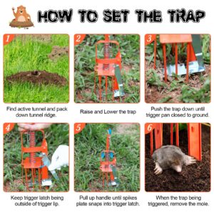 Qualirey 3 Pcs Mole Trap for Lawns, Spear Style Mole Killer for Garden Yard Outdoor, Alloy Steel Mechanical Vole Gopher Trap, Quick and Clean Mole Traps That Kill Best