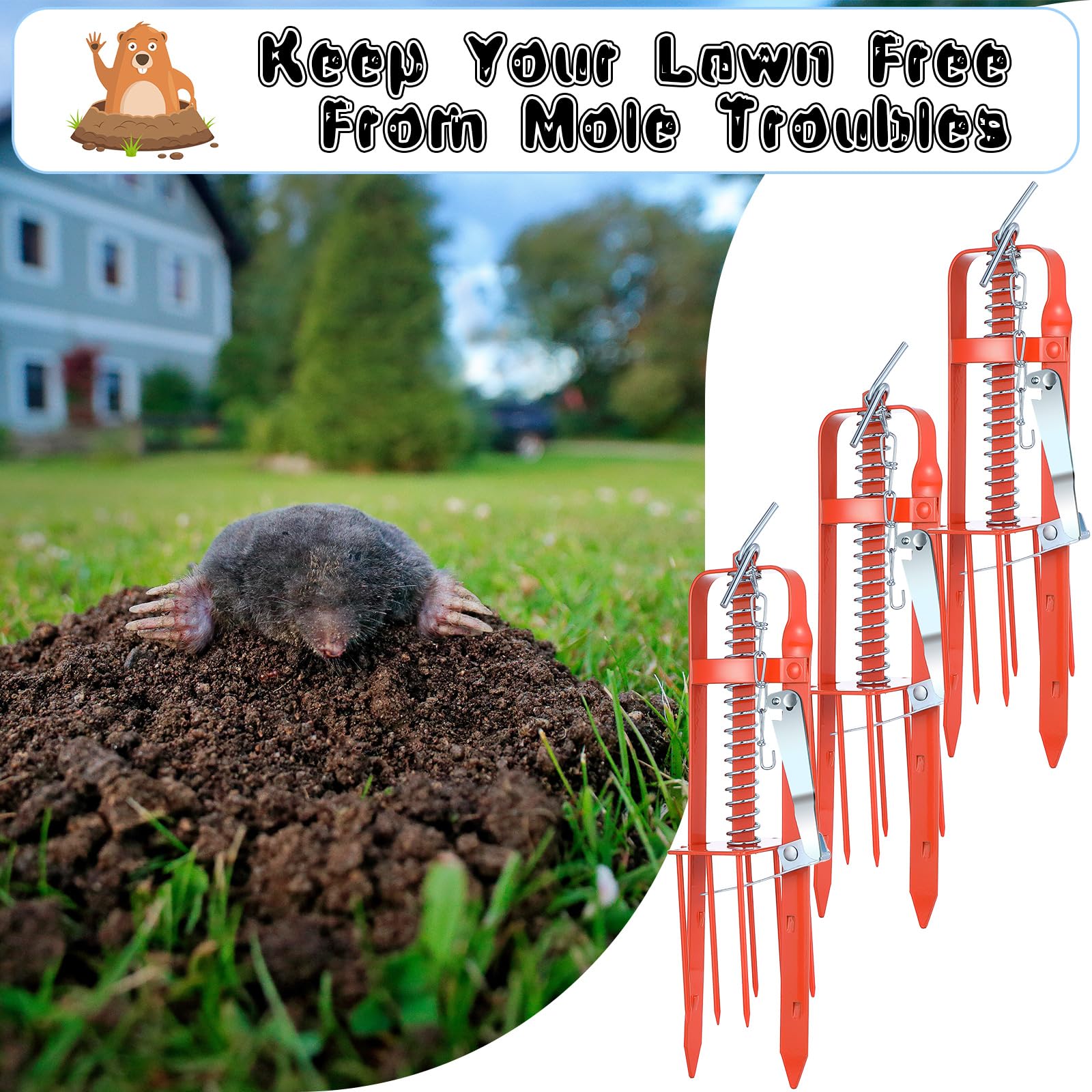 Qualirey 3 Pcs Mole Trap for Lawns, Spear Style Mole Killer for Garden Yard Outdoor, Alloy Steel Mechanical Vole Gopher Trap, Quick and Clean Mole Traps That Kill Best