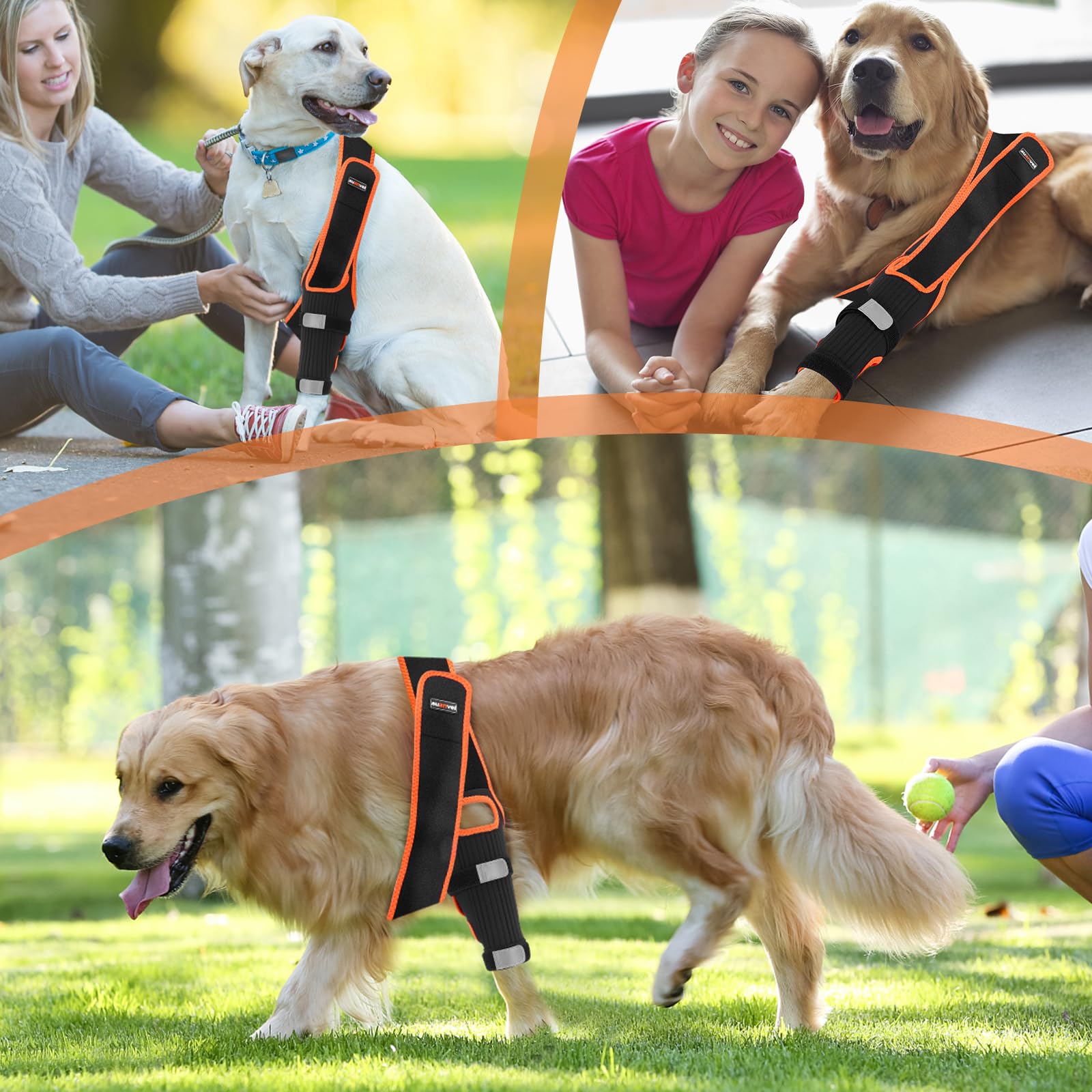 Dog Knee Brace Leg Braces with Side Stabilizers for Dogs Support for Torn ACL CCL Hind Leg, Knee Cap Dislocation, Cruciate Ligament Injuries, Patella Dislocation or Osteoarthritis （L）