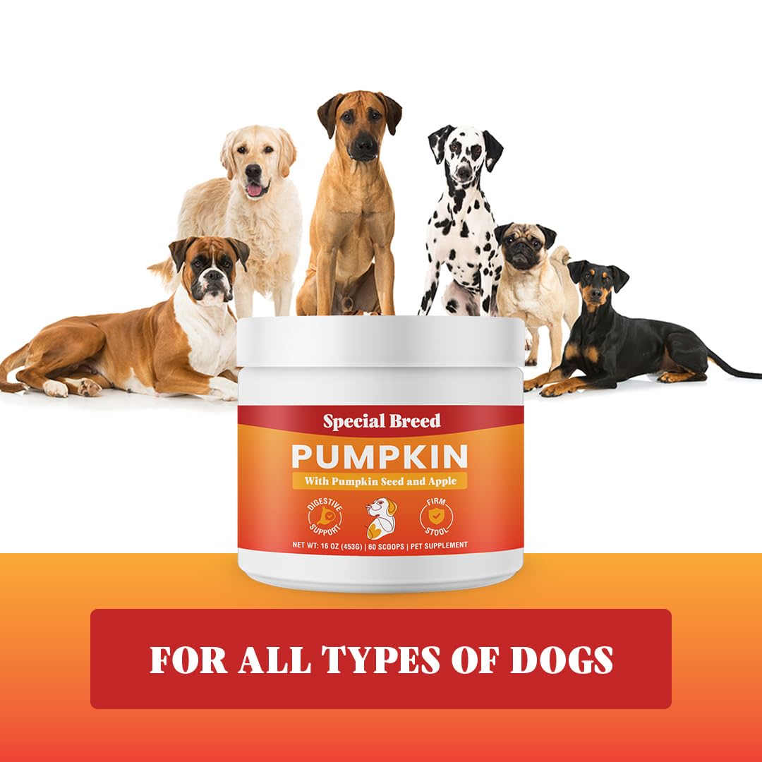 3-in-1 Pumpkin Powder for Dogs (16 oz) - with Organic Pumpkin, Pumpkin Seed, & Apple, All Natural Dog Digestive Support, Great Balance of Soluble and Insoluble Fiber for Dogs, 60 Scoops