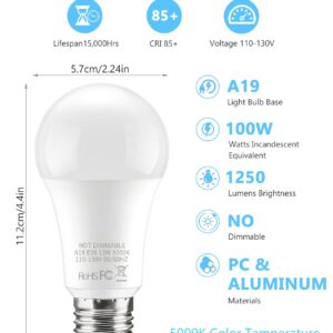 BTBHIHO 6-Pack A19 LED Light Bulbs 100W Equivalent 1250 Lumens, 13W 5000K Cool White Non-Dimmable, No Flicker, Super Bright CRI85+ Standard E26 Edison Screw Bulbs for Bedroom, Home, Office