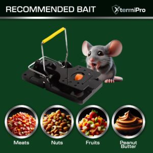 Mouse Traps Indoor for Home - 6 Pack Rat Traps Outdoor Large Fast Kill | Reusable Mice Traps | Easy Setup Chipmunk Trap | Small Rodent Traps | Effective and Safe Mouse Trap for Home Office |