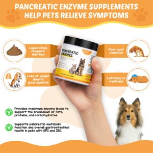 Pancreatic Enzymes for Dogs (8.8 Oz) | 10x Pancreatin Formula | Digestive Enzymes for Dogs with EPI | Helps Restore Normal Weight, Supports Digestive Stress and Pancreatic Issues