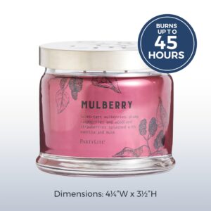 PartyLite 3-Wick Jar Candle, Highly Fragranced Clean Burning Glass Candle, 25-45 Hours Burn Time (Mulberry)