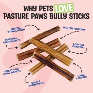 Pasture Paws Bully Sticks for Dogs | Long-Lasting All Natural Dog Chew Sticks | Fully Digestible Low Odor Bully Sticks | Dental Health Support Dog Treats Sticks | 6-inch | 5 Count Pack