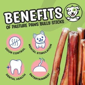 Pasture Paws Bully Sticks for Dogs | Long-Lasting All Natural Dog Chew Sticks | Fully Digestible Low Odor Bully Sticks | Dental Health Support Dog Treats Sticks | 6-inch | 5 Count Pack