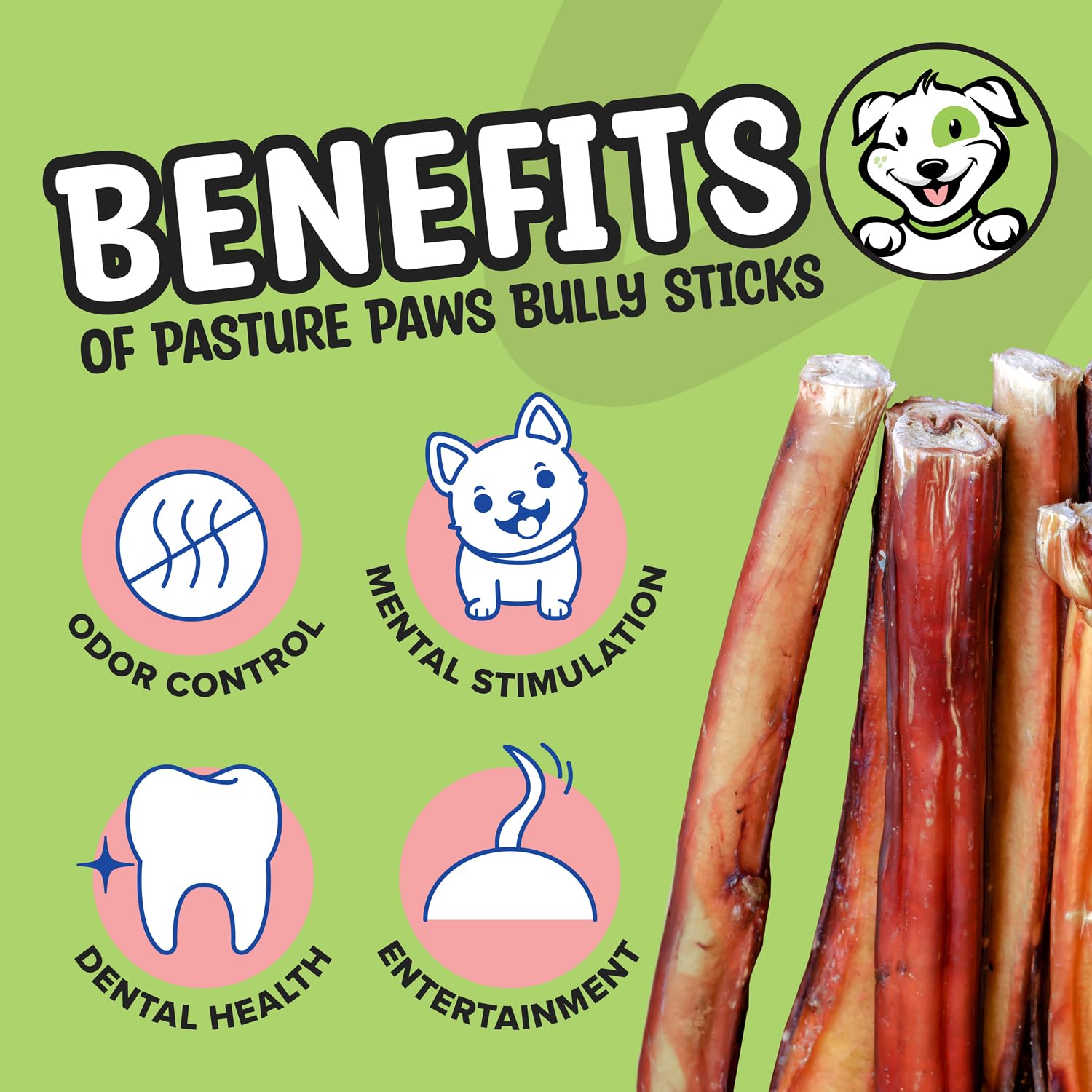 Pasture Paws Bully Sticks for Dogs | Long-Lasting All Natural Dog Chew Sticks | Fully Digestible Low Odor Bully Sticks | Dental Health Support Dog Treats Sticks | 6-inch | 5 Count Pack