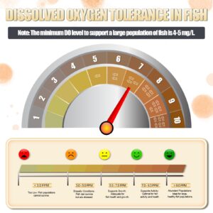 Dissolved Oxygen Test Kit - Accurate Water Testing for Freshwater, Saltwater Aquariums, Ponds, Sewage, etc. - All-in-One Solution, Quick and Easy Results