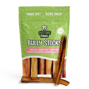 pasture paws bully sticks for dogs | long-lasting all natural dog chew sticks | fully digestible low odor bully sticks | dental health support dog treats sticks | 6-inch | 5 count pack