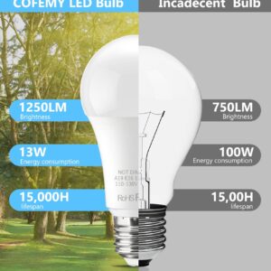 BTBHIHO 6-Pack A19 LED Light Bulbs 100W Equivalent 1250 Lumens, 13W 5000K Cool White Non-Dimmable, No Flicker, Super Bright CRI85+ Standard E26 Edison Screw Bulbs for Bedroom, Home, Office