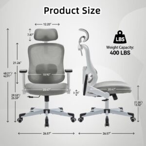 Ergonomic Office Chair Reclining Gaming Chair Adjustable Lumbar Support 4D Armrest 6D Headrest Breathable Mesh Swivel Computer Chairs Home Task Desk Chair Coat Hanger Tilt Lock (Pro, Grey)