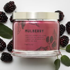 partylite 3-wick jar candle, highly fragranced clean burning glass candle, 25-45 hours burn time (mulberry)