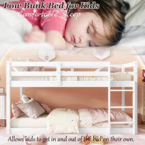 Bunk Bed Twin Over Twin, Floor Bunk Bed with Ladder, Solid Rubber Wooden Low Twin Bunk Beds for Kids Teens , Ideal for Multiple-Child Family, Apartment, Dormitory, No Box Spring Needed,White