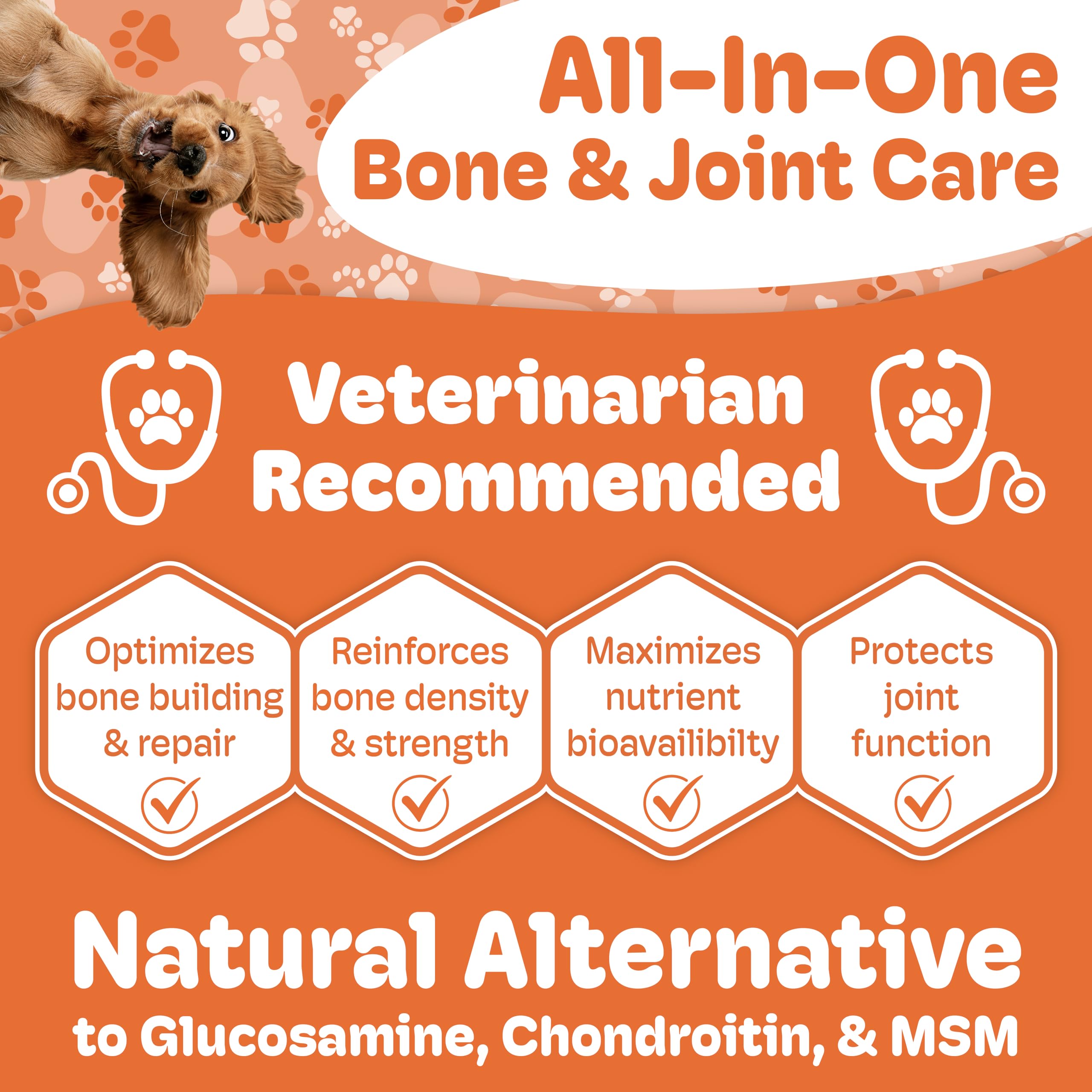 Boneo Canine Maintenance Formula - Lactoferrin-Based Bone and Joint Supplement for Dogs - 90 Ct Dual Pack Chewable Tablets, Liver and Sausage Flavor