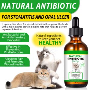 Antibiotics for Cats, 2 Oz Natural Cat Antibiotics Supports for UTI Cat Immune Support, Cat Multivitamin, Cat Itch Relief, Cat Allergy Support, Chicken Flavor