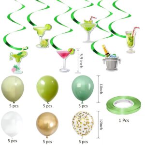 LlifetimeU Martini Party Decorations, A Tini Bit Older Birthday Decor with Green Martini Balloon, Tiny Bit Older Party Decor for Bachelorette Party Decoration