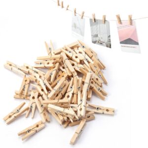 50 pcs 1in mini wooden craft clothes pins, clothes pins for photo,small clothespins,small clothes pin,mini photo clips small clothes pins for photos, crafts, arts, cocktails,artwork display