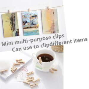 50 Pcs 1In Mini Wooden Craft Clothes Pins, Clothes Pins for Photo,Small Clothespins,Small Clothes Pin,Mini Photo Clips Small Clothes Pins for Photos, Crafts, Arts, Cocktails,Artwork Display