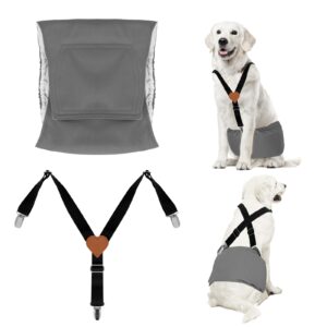 judixy premium reusable dog belly bands for male dogs (2 pack) - 1 washable dog diapers male & 1 adjustable suspenders for urination incontinence, available in small, medium, large (grey m)