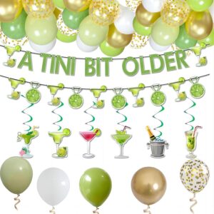 llifetimeu martini party decorations, a tini bit older birthday decor with green martini balloon, tiny bit older party decor for bachelorette party decoration