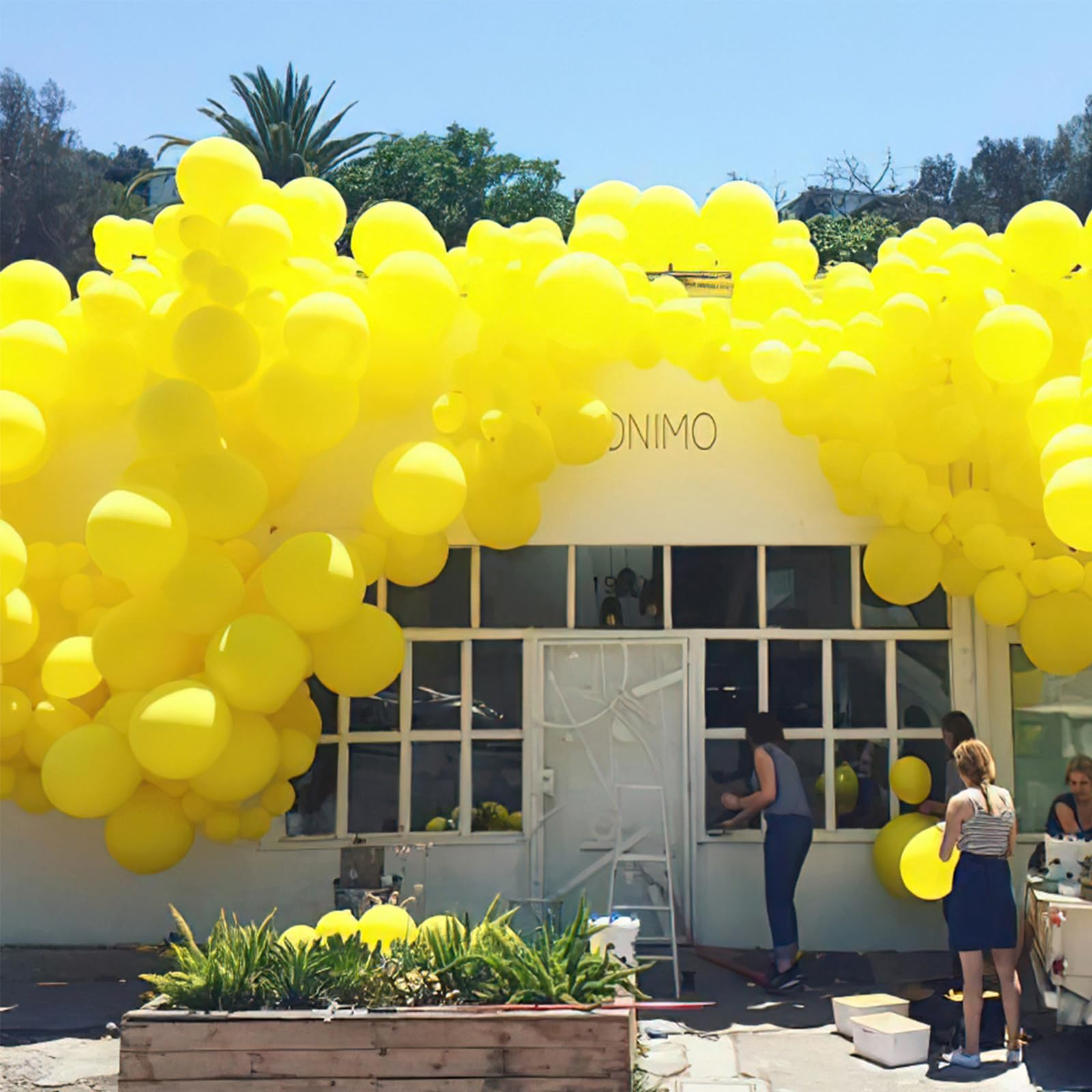 PartyWoo Yellow Balloons 120 pcs Yellow Balloons Different Sizes Pack of 18 12 10 5 Inch Balloon Arch Kit Yellow Balloon Garland for Graduation Easter Birthday Yellow Party Decorations Yellow-Y55