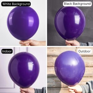 PartyWoo Dark Purple Balloons 130 pcs Purple Balloons Different Sizes Pack of 18 12 10 5 Inch Purple Balloon Arch Kit Balloon Garland for Birthday Halloween Graduation Party Decorations Purple-Y16