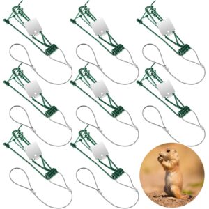 qualirey 8 pcs gopher trap with chain mole trap green stainless steel weather resistant gopher trap gopher killer vole trap for lawn garden farm outdoor