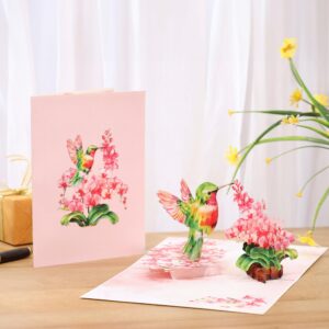 Birthday Card for Women, 3D Hummingbird Orchid Flower Pop Up Birthday Cards for Mom, Wife, Daughter, Her, Sister, Girlfriend, Grandma, Mother's day, Thank You, Anniversary, Valentine's Day Cards