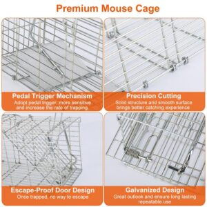 KOCASO Humane Live Rat Trap Foldable Live Animal Trap Humane Foldable Rat Trap Cage W/Detachable L Shaped Rod Squirrel Trap Galvanized Iron Mice Mouse Cage/Small Groundhog Control Bait Catch