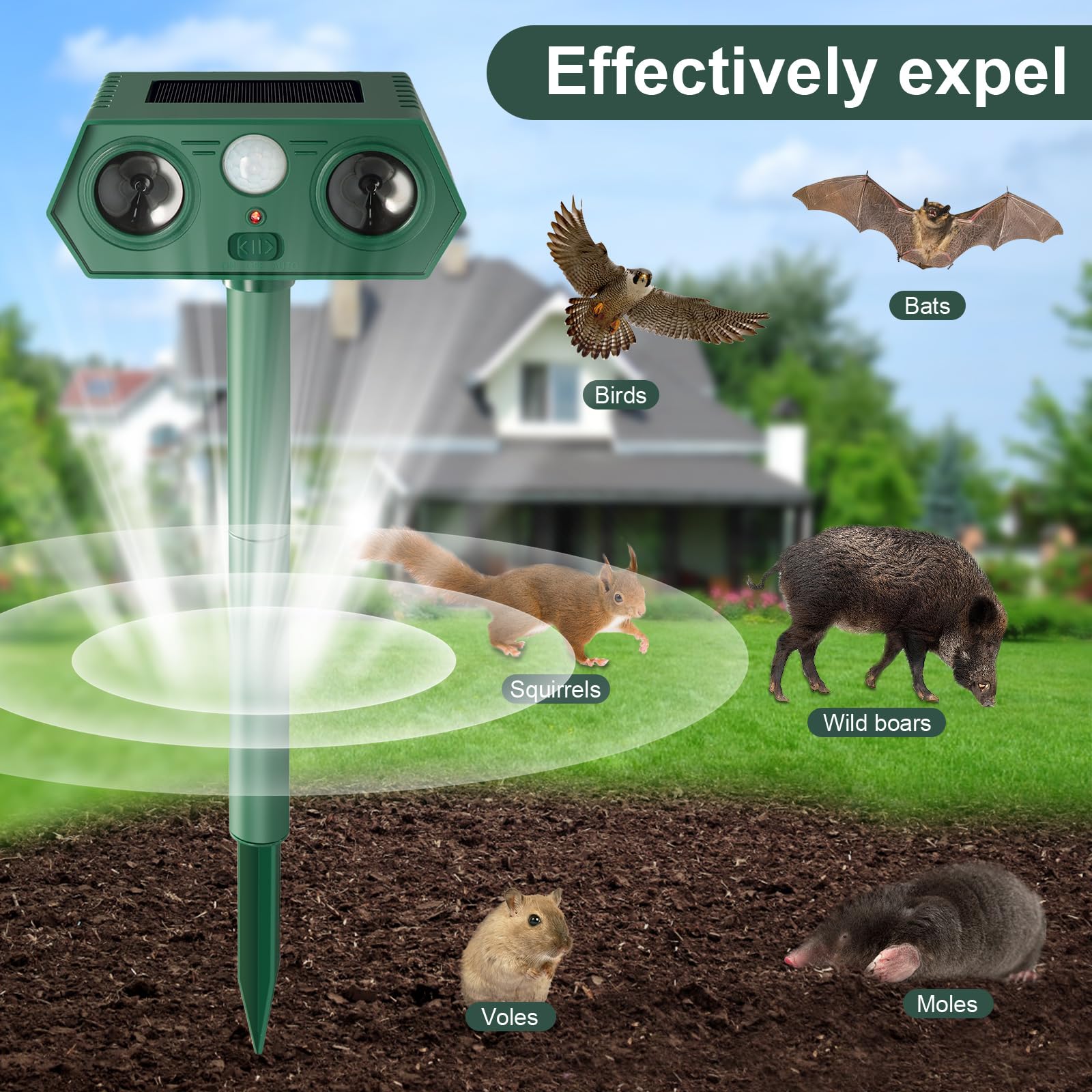 LittleMax Mole Repellent Solar Powered 2 Speaker, Sonic Gopher Repellent Outdoor Mole Deterrent for Yard Chipmunk Repellent Groundhog Repellent Vole Stake Mole Scram Solar Animal Repeller for Lawn