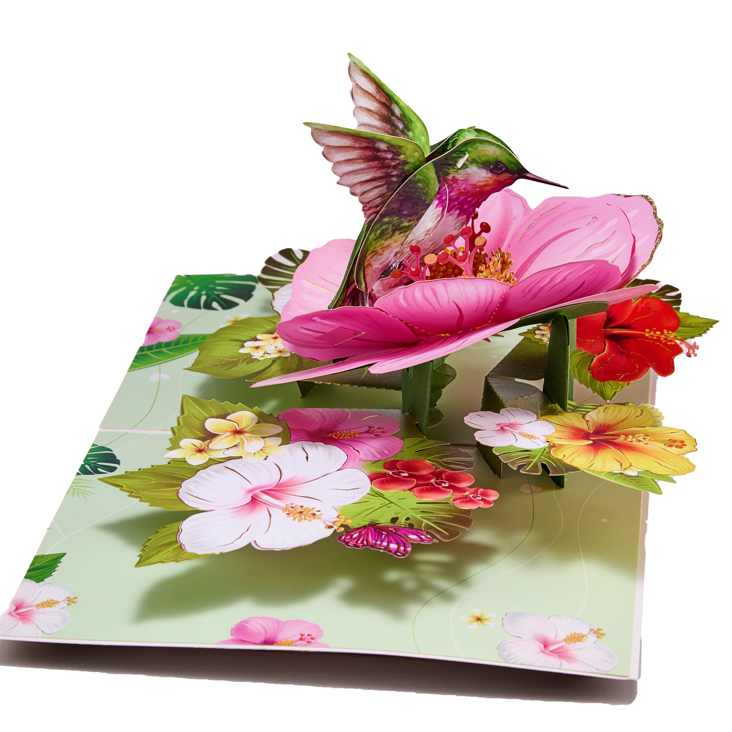 LoveEcho Birthday Card, Hover Hummingbird Pop Up Card, 5x7-3D Greeting Card with Note Card & Envelope for Birthday, Anniversary, Thank You, Thanksgiving, Christmas, Get Well, Thinking of You, Congrats, or Any Occasion, For Her, Women, Wife, Mom, Grandma,