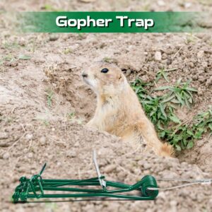 Qualirey 8 Pcs Gopher Trap with Chain Mole Trap Green Stainless Steel Weather Resistant Gopher Trap Gopher Killer Vole Trap for Lawn Garden Farm Outdoor