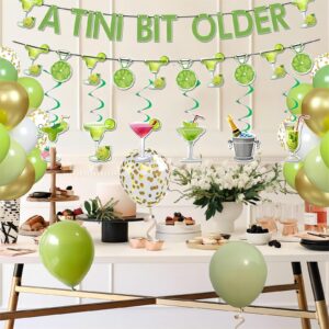 LlifetimeU Martini Party Decorations, A Tini Bit Older Birthday Decor with Green Martini Balloon, Tiny Bit Older Party Decor for Bachelorette Party Decoration