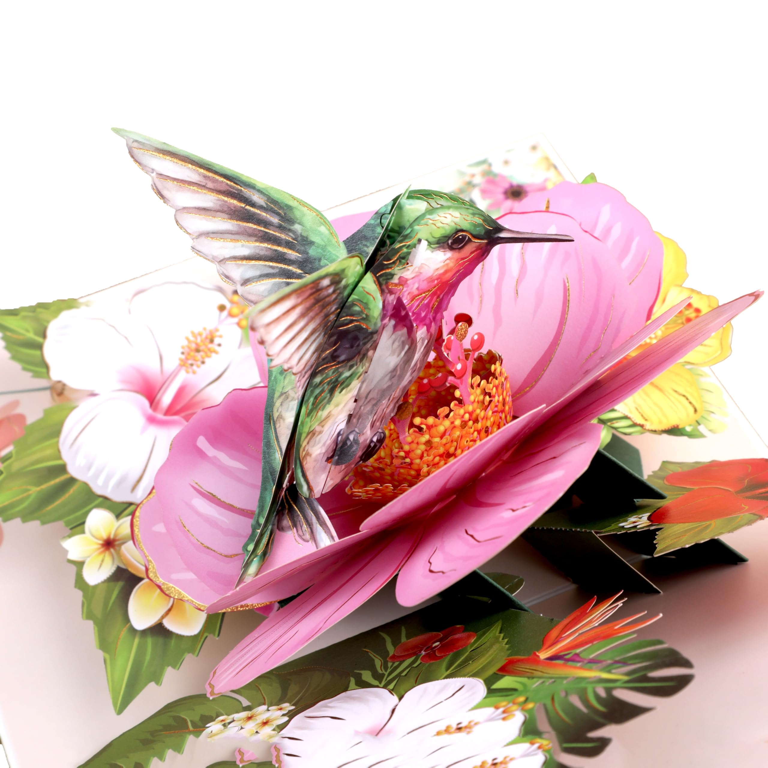 LoveEcho Birthday Card, Hover Hummingbird Pop Up Card, 5x7-3D Greeting Card with Note Card & Envelope for Birthday, Anniversary, Thank You, Thanksgiving, Christmas, Get Well, Thinking of You, Congrats, or Any Occasion, For Her, Women, Wife, Mom, Grandma,