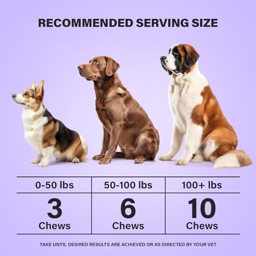 Charlie & Buddy Dog Multivitamin 21 in 1 - Dog Vitamins and Supplements with Vitamin C Multivitamin for Dogs - Chicken Flavour Dog Vitamins Soft Chews - 90ct