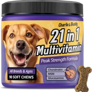 Charlie & Buddy Dog Multivitamin 21 in 1 - Dog Vitamins and Supplements with Vitamin C Multivitamin for Dogs - Chicken Flavour Dog Vitamins Soft Chews - 90ct