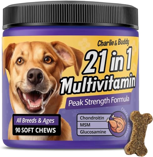 Charlie & Buddy Dog Multivitamin 21 in 1 - Dog Vitamins and Supplements with Vitamin C Multivitamin for Dogs - Chicken Flavour Dog Vitamins Soft Chews - 90ct