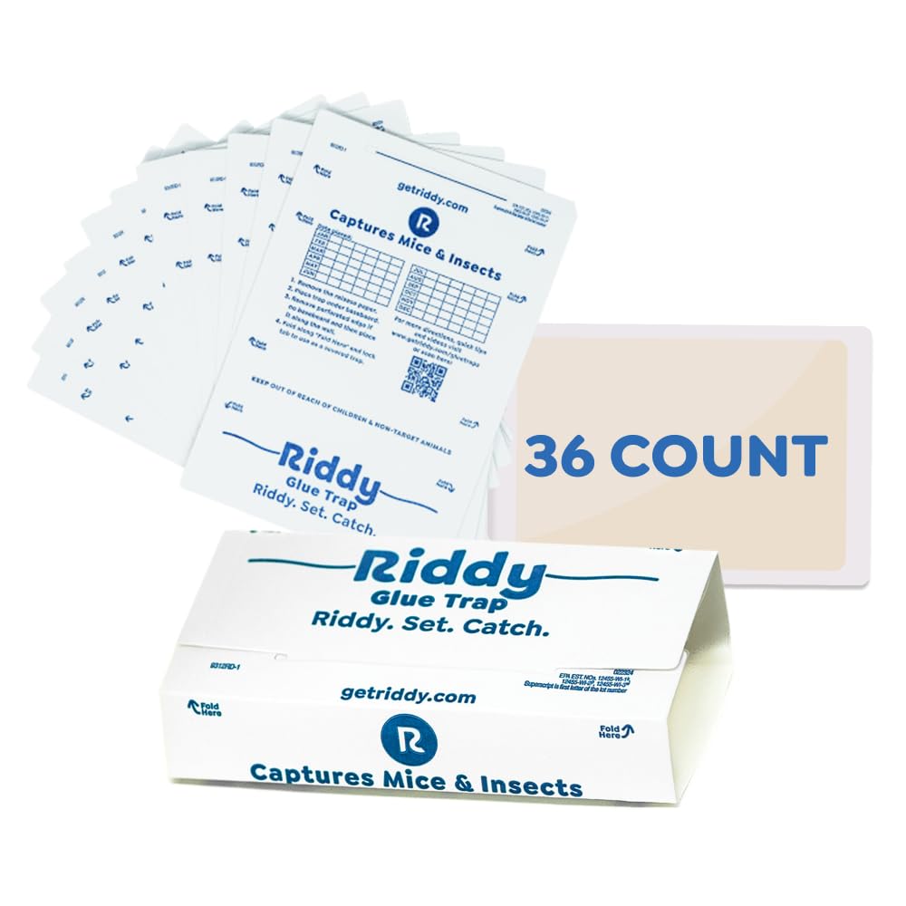 Riddy Glue Boards, 36 Boards, Pre-Baited, Ready to Use Mouse Traps Indoor for Home, Sticky Adhesive for Bugs and Rodents, 5.5" x 7.5"