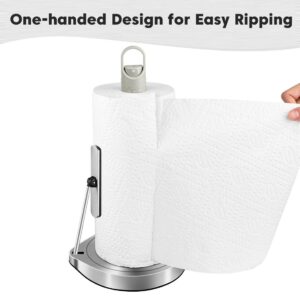 AIDEA Paper Towel Holder with Spray Bottle, Kitchen Towel Holder for Countertop, Spring Arm for Easy Tear, One-Handed Stainless Steel Paper Towel Dispenser with Weighted Base, Silver