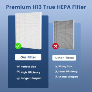 2 Pack C545 True HEPA Replacement Filter S Compatible with Winix C545, B151, P150, 9300 Air Cleaner Purifier, Replaces Part 1712-0096-00 2522-0058-00, 2 True HEPA Filter + 8 Activated Carbon Filters