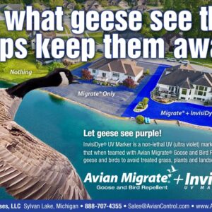 Goose Repellent UV Marker, Goose and Bird Detterent for Avian Migrate, Improves The Longevity of The Avian Migrate, Trains Geese and Birds to Avoid Areas, Invisidye (Two 8 oz Bottles)