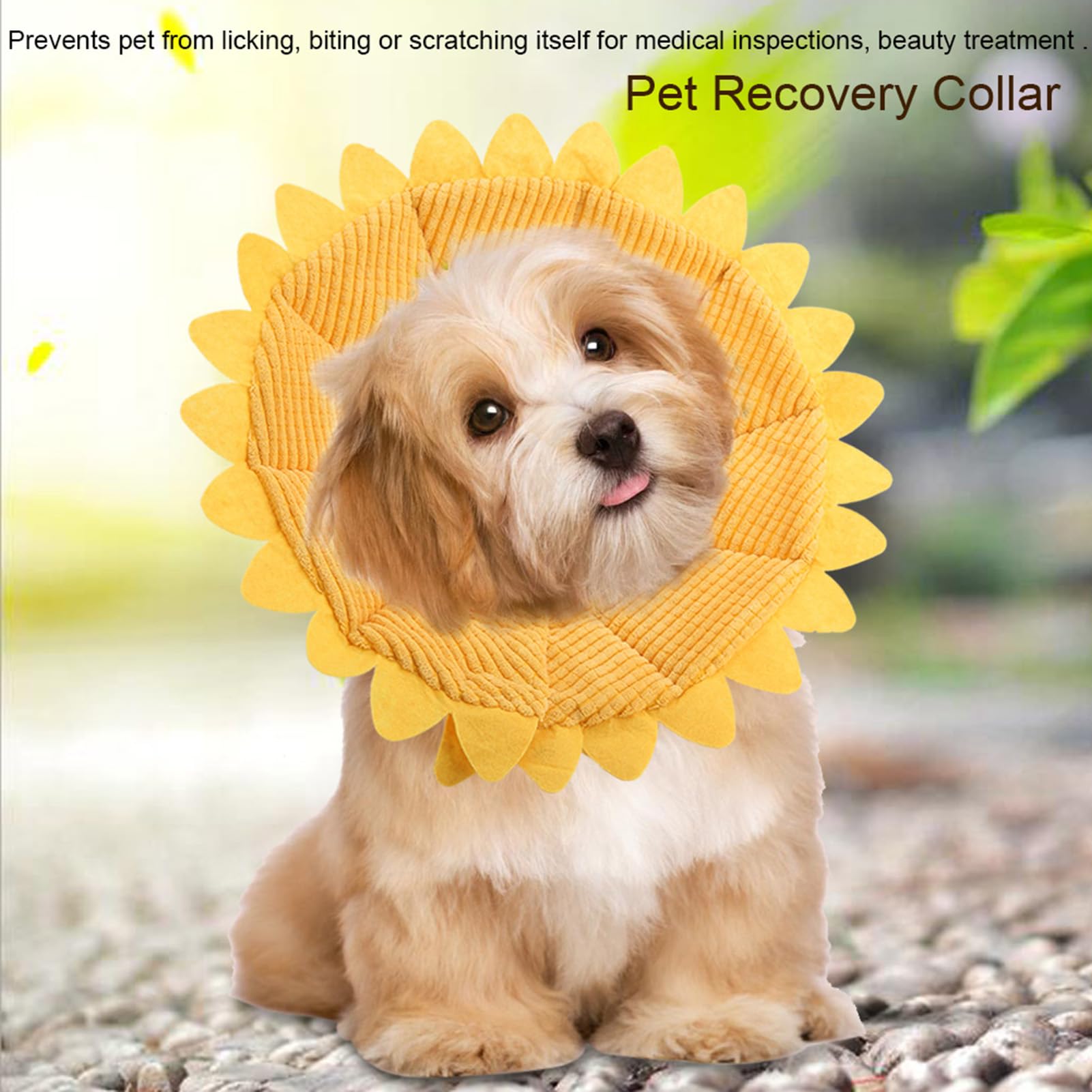 Cat Cone, Pet Recovery Collar Sunflower Shape Pet Elizabethan Collar Pet Recovery Cone Adjustable Pet Collar for Cat Dog (Size 5 Neck Circumference 29-35cm)