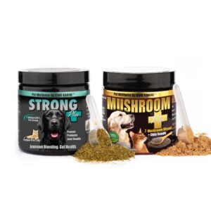 king kanine health bundle: strong plus hemp protein & probiotics & 7 mushroom blend & chia seeds - natural ingredients, joint & immune support, omega-3, anti-inflammatory, safe for dogs & cat