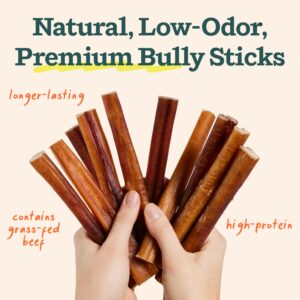 WOOF BullySafe and Bully Sticks - Nutritious Chew Sticks for Dogs and Bully Stick Holder for Safe, Long-Lasting Play - No More Swallowed Ends - 6" Sticks - 10 Pack