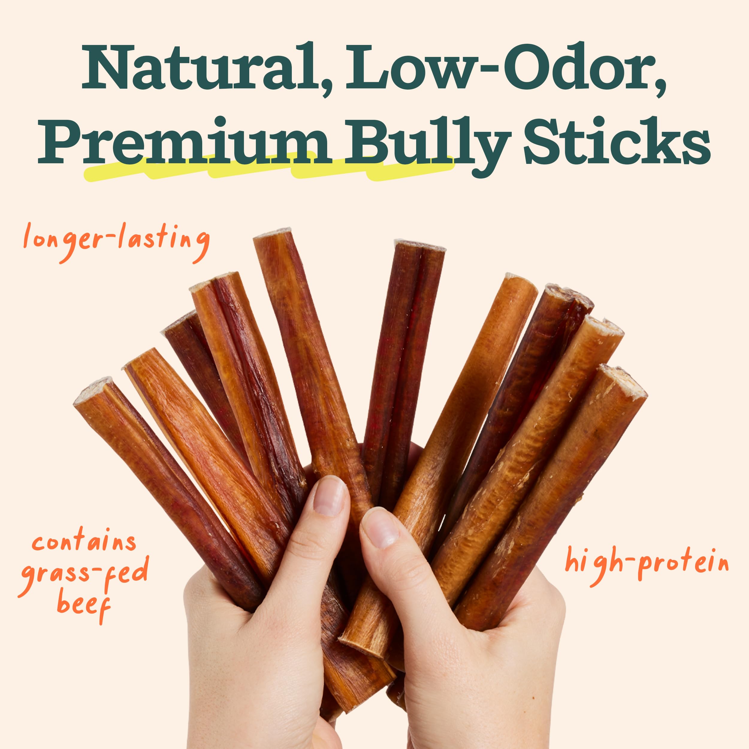 WOOF BullySafe and Bully Sticks - Nutritious Chew Sticks for Dogs and Bully Stick Holder for Safe, Long-Lasting Play - No More Swallowed Ends - 6" Sticks - 10 Pack