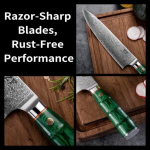 ZF 8 Inch Damascus Kitchen Chef Knife Professional Japanese VG10 Super Steel 67 Layers Santoku Knife Cooking Knife Utility Knife for Meat Vegetable Fruit (YE008)