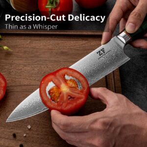 ZF 8 Inch Damascus Kitchen Chef Knife Professional Japanese VG10 Super Steel 67 Layers Santoku Knife Cooking Knife Utility Knife for Meat Vegetable Fruit (YE008)