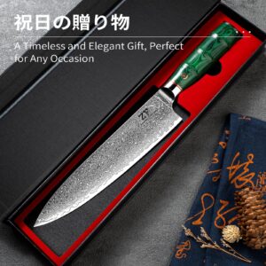 ZF 8 Inch Damascus Kitchen Chef Knife Professional Japanese VG10 Super Steel 67 Layers Santoku Knife Cooking Knife Utility Knife for Meat Vegetable Fruit (YE008)