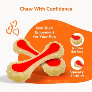 ReThink Pet Dental Bone Dog Chew Toy, Small Bacon-Scented Dog Chew Bones, Odor-Stimulating Nylon Dog Bones and Chew Toy, Durable and Tough Dog Toys for Boredom