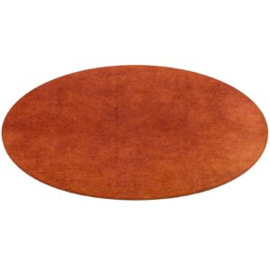 generic round area rug,burnt orange non-slip bathroom rug soft floor carpet mat for living room bedroom dining room decor, 24inch